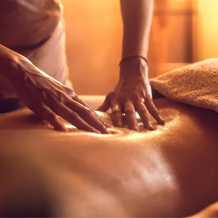 Chez Isabelle Et Johann Alloggio in famiglia Angliers (Charente-Maritime)